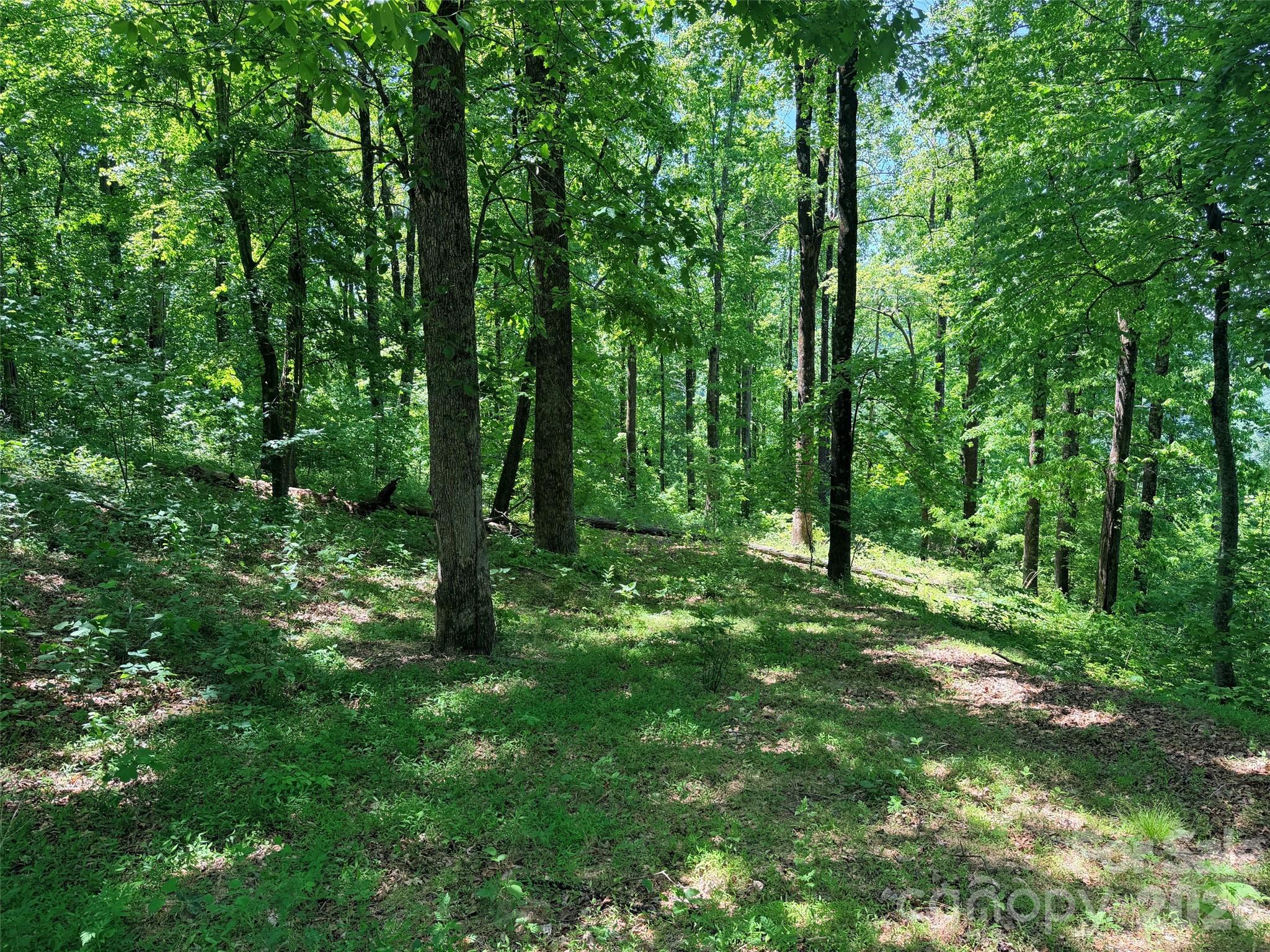 Lot 10 Timbercliff Trail Property Photo 11