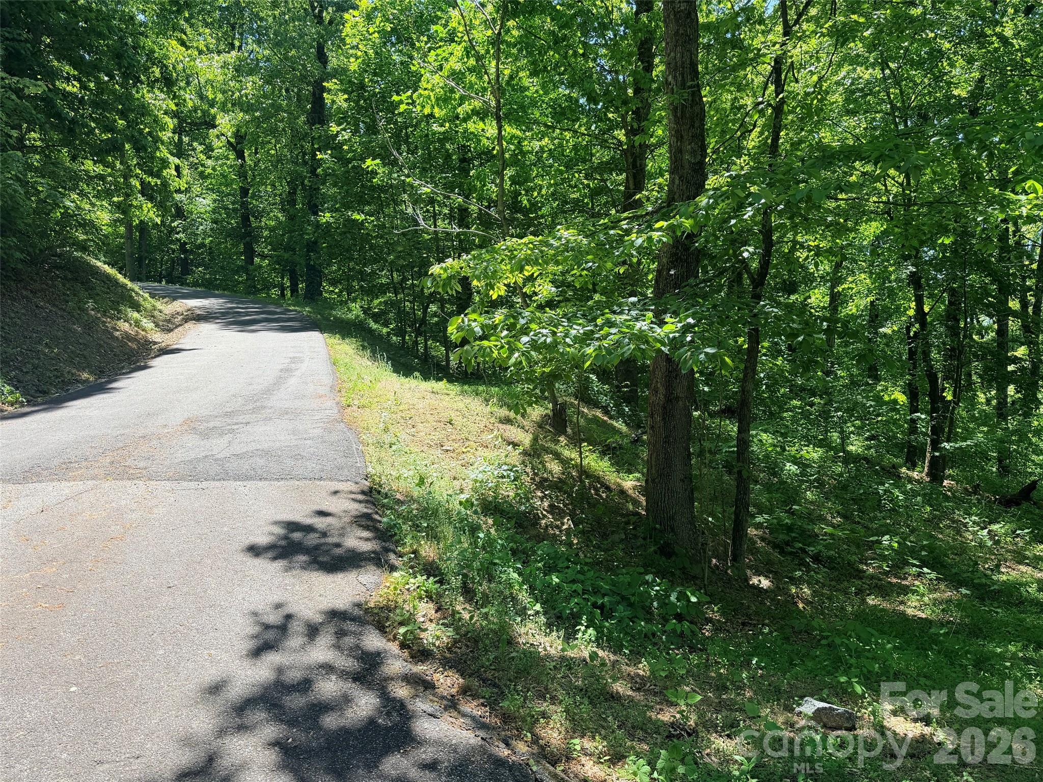 Lot 10 Timbercliff Trail Property Photo 12