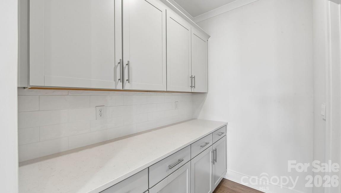 1047 Tundra Swan Drive Property Photo 17