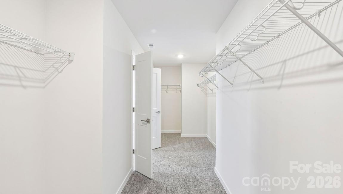 1047 Tundra Swan Drive Property Photo 35