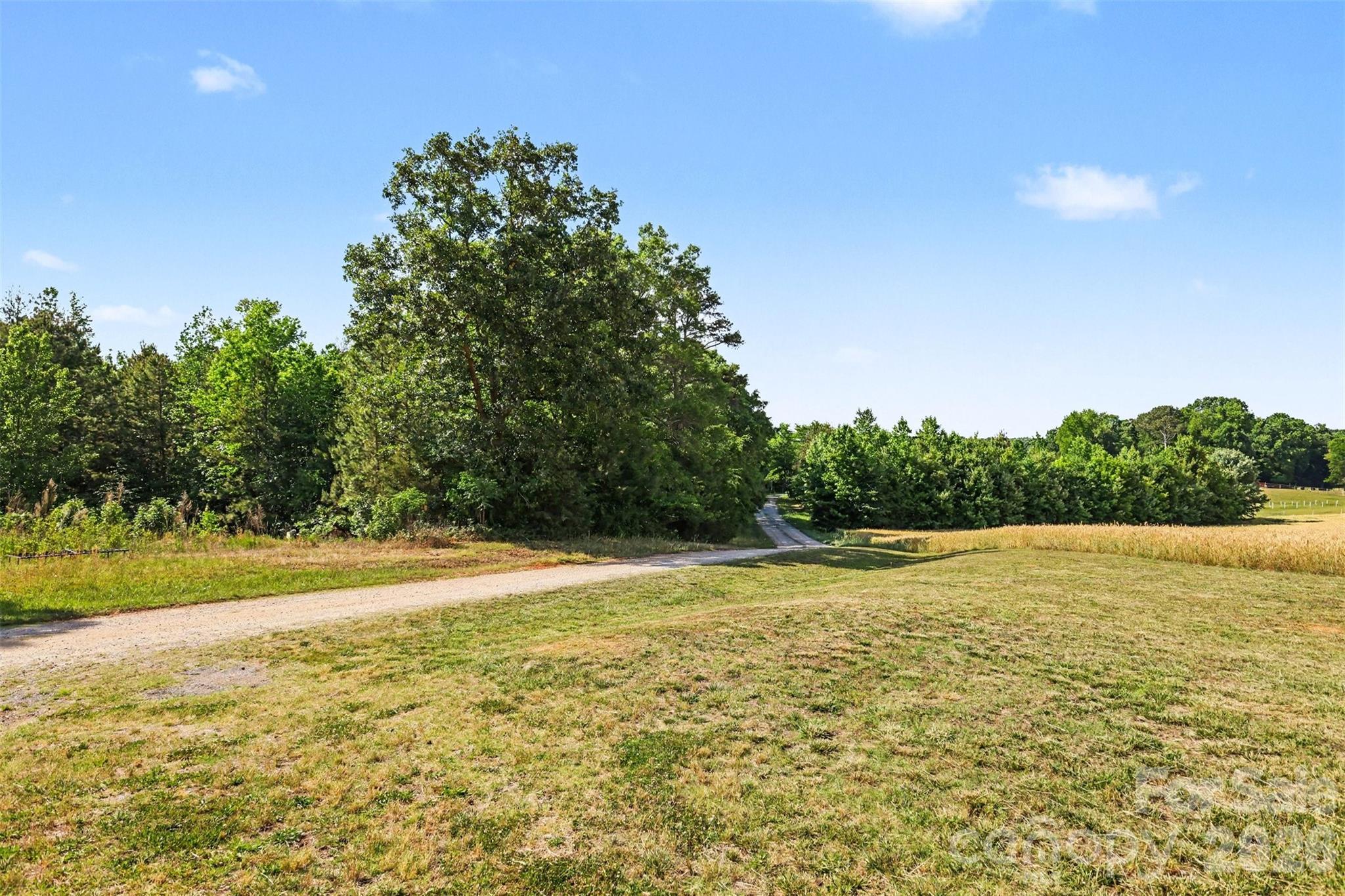6710 Effie Whitley Road Property Photo 16