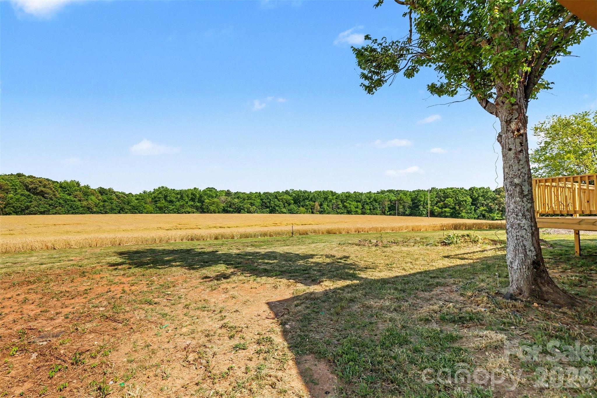 6710 Effie Whitley Road Property Photo 17