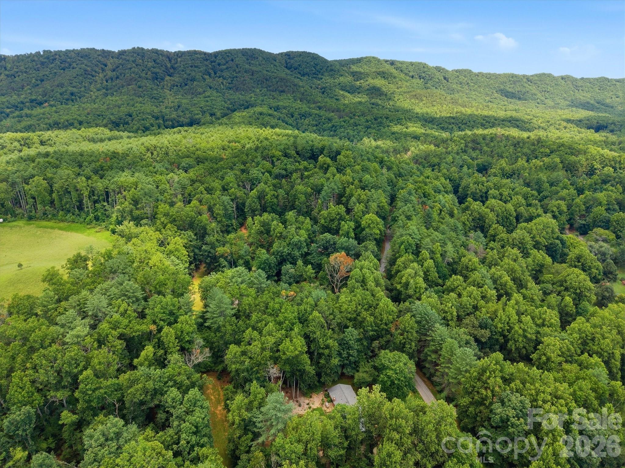 1125 Brockmore Drive Property Photo 47