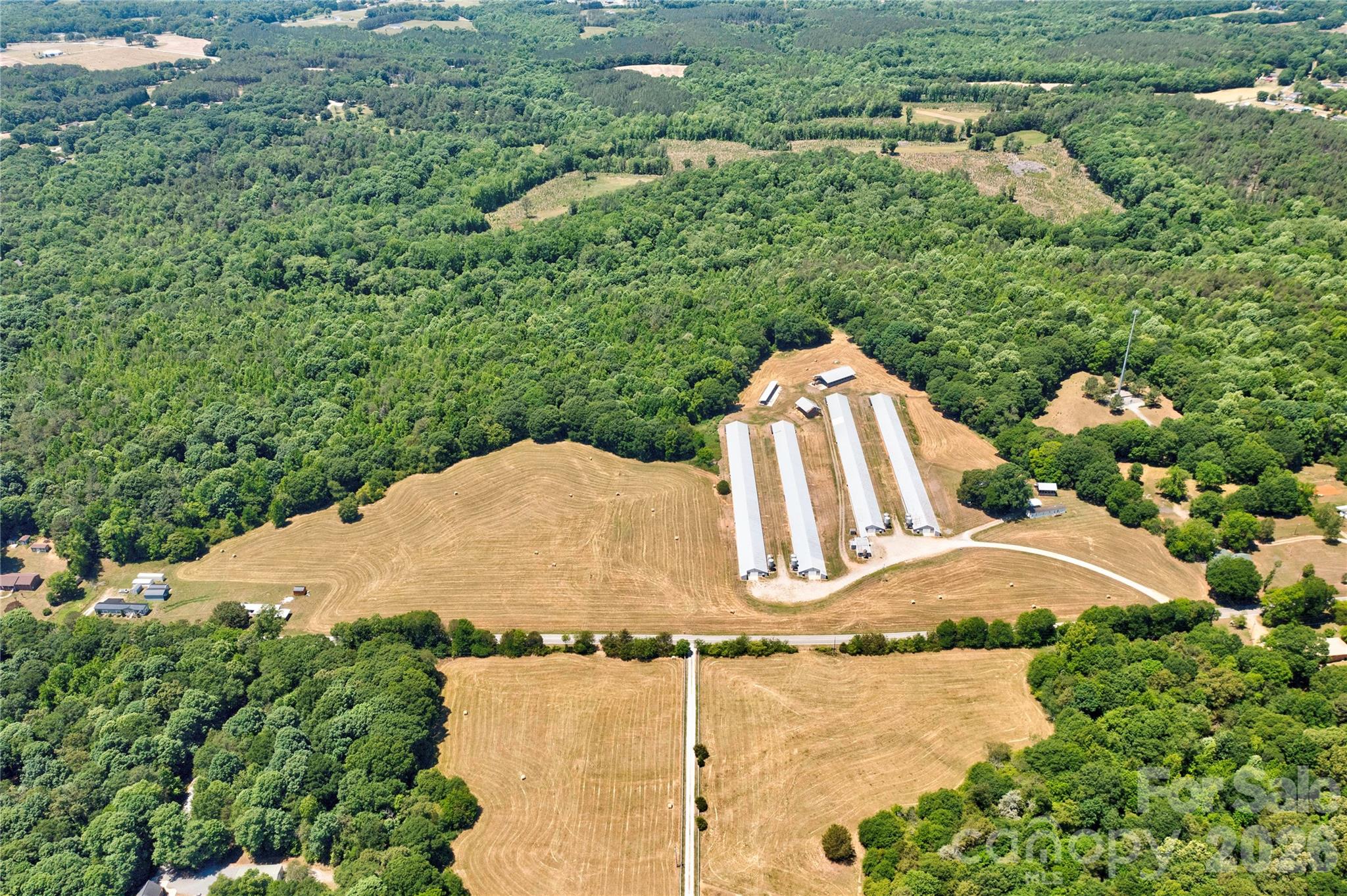 1402 Maple Springs Ch Road Property Photo 4
