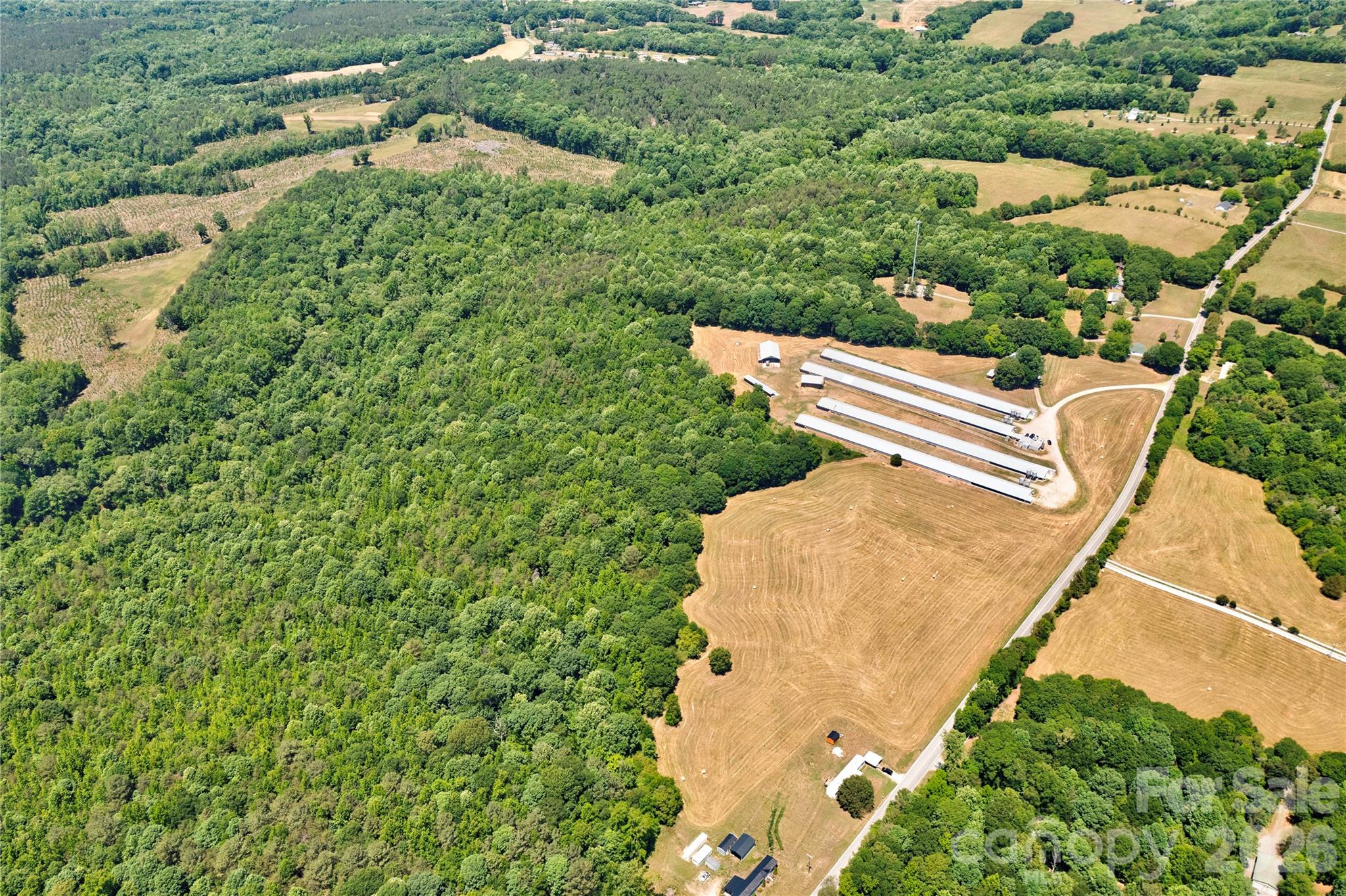 1402 Maple Springs Ch Road Property Photo 6