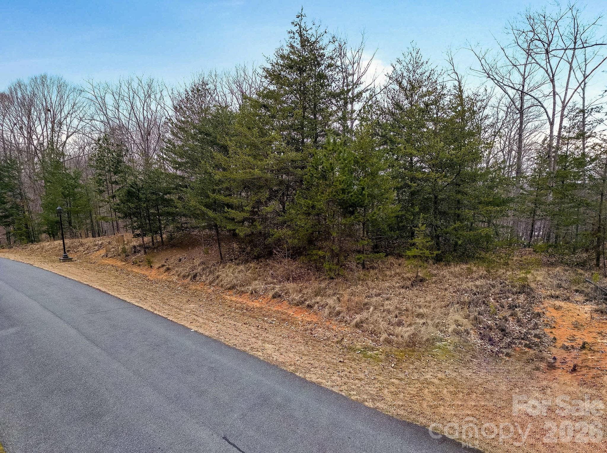 316 Pinnacle Trail Property Photo 5