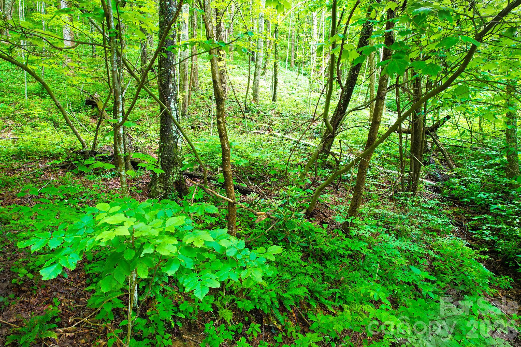 4 White Birch Court 422 Property Photo 19