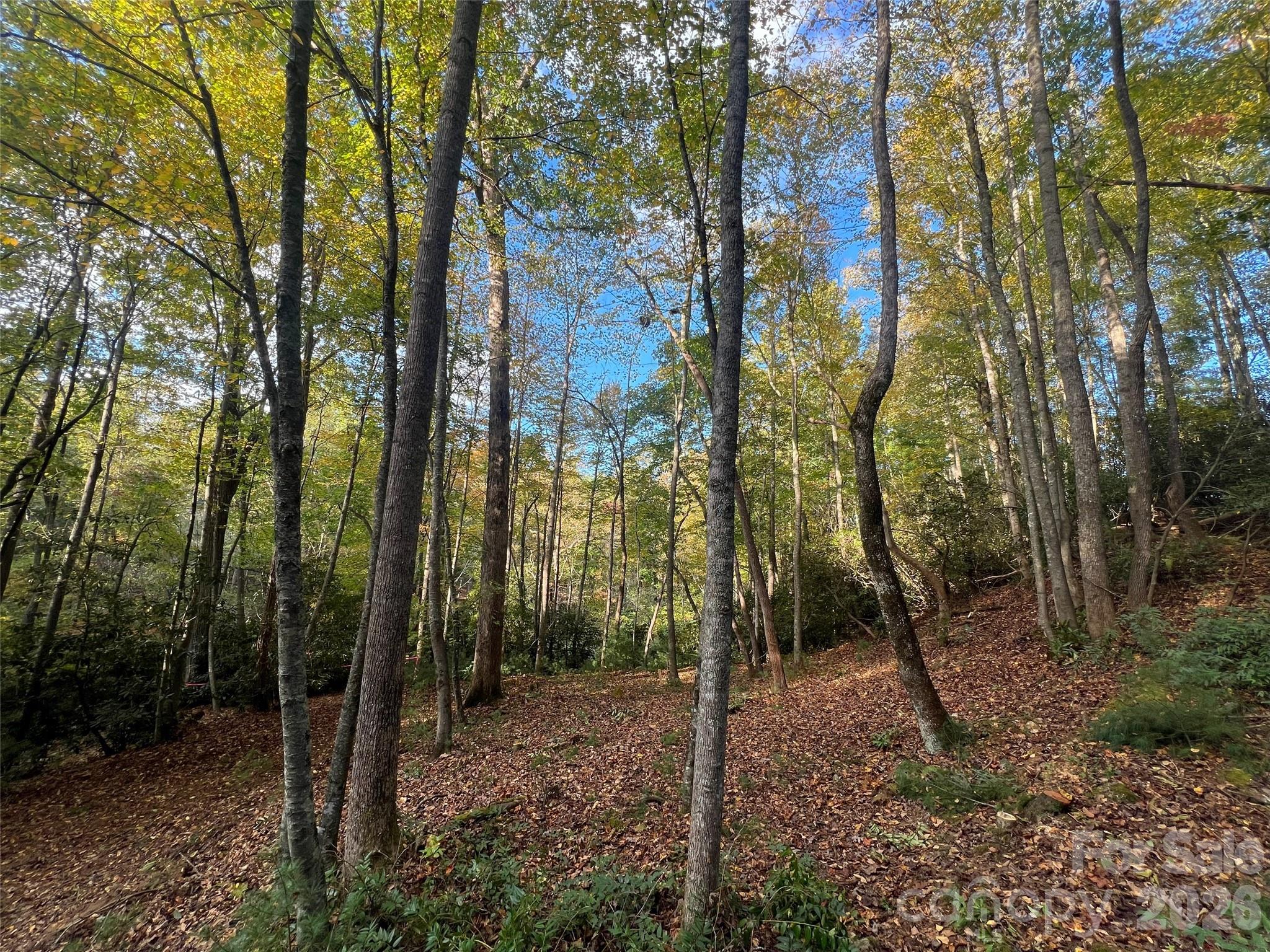 6 Dividing Ridge Trail 01 Property Photo 1