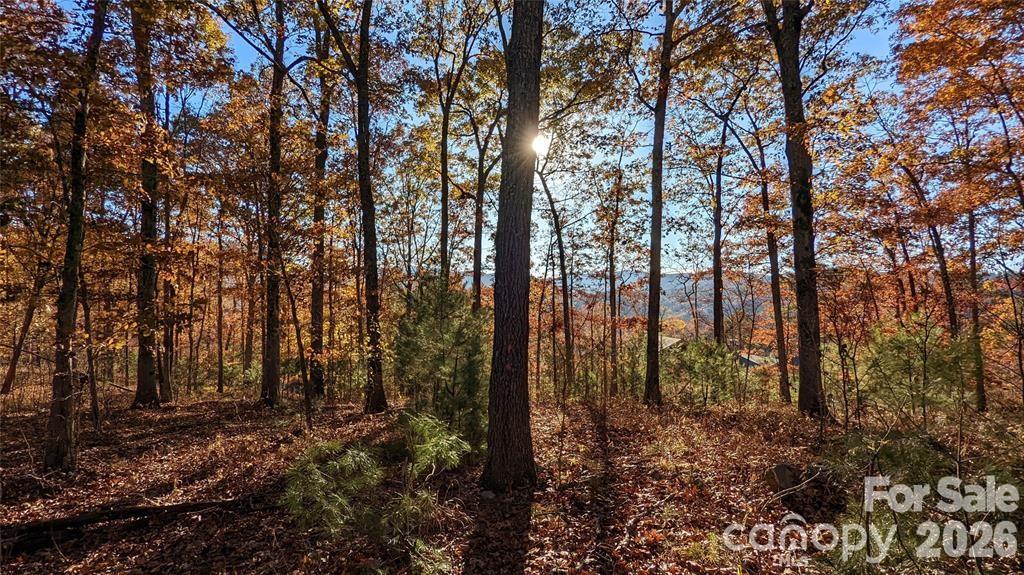 512 Wild River Run 65 Property Photo 2