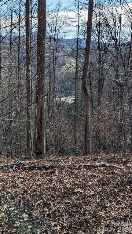 512 Wild River Run 65 Property Photo 3