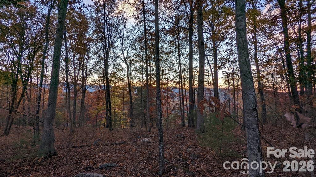 512 Wild River Run 65 Property Photo 4