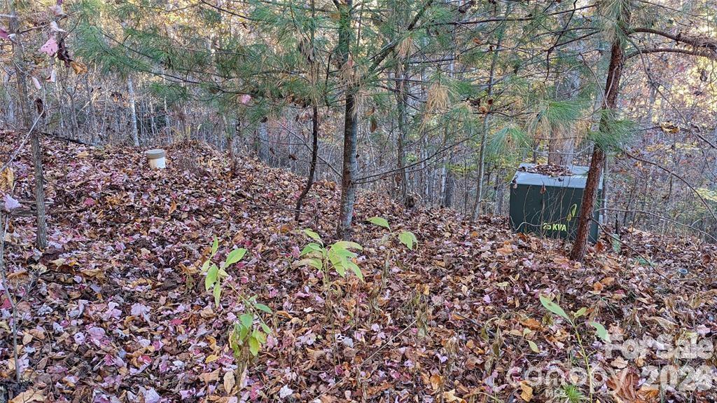 512 Wild River Run 65 Property Photo 5