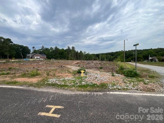 Tbd Fowler Road Property Photo 5
