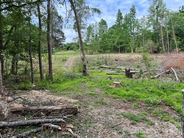 Tbd Fowler Road Property Photo 13