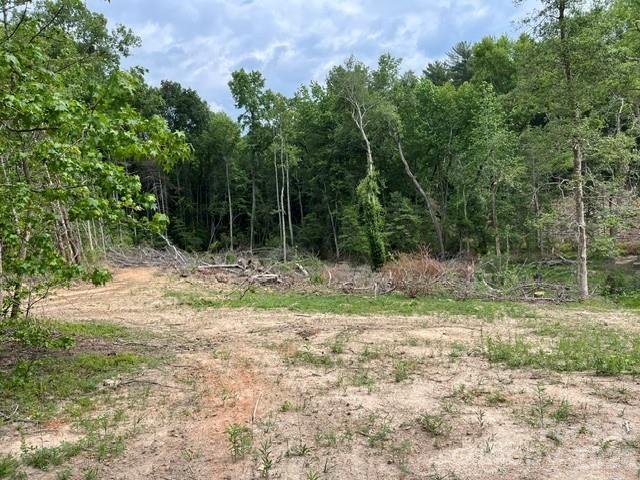 Tbd Fowler Road Property Photo 15
