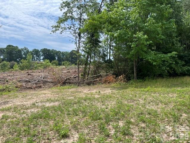 Tbd Fowler Road Property Photo 17