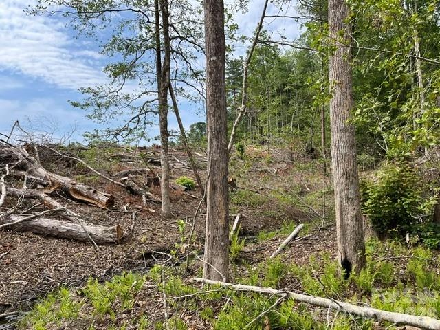 Tbd Fowler Road Property Photo 18