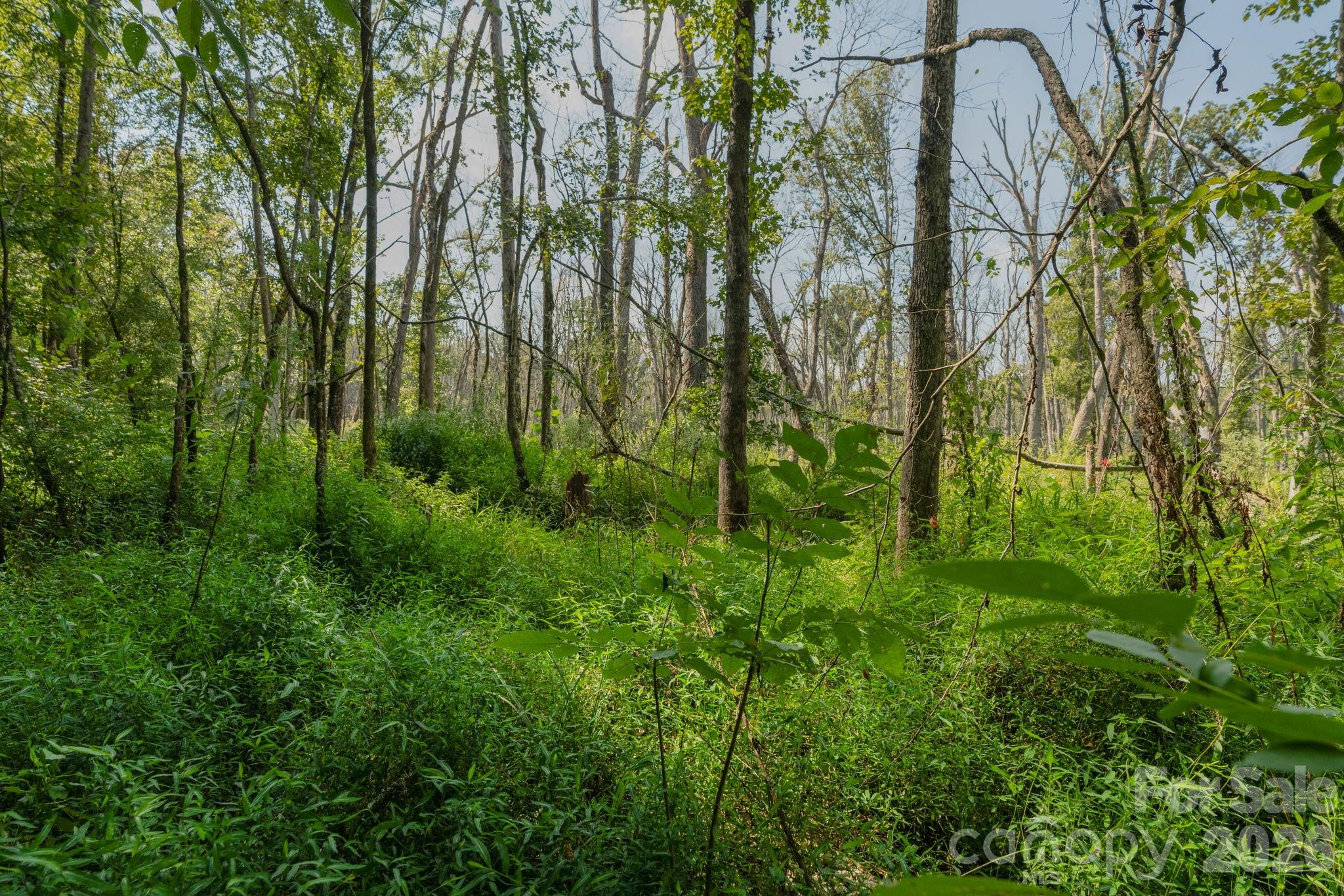 00 Stonehenge Court Property Photo 7