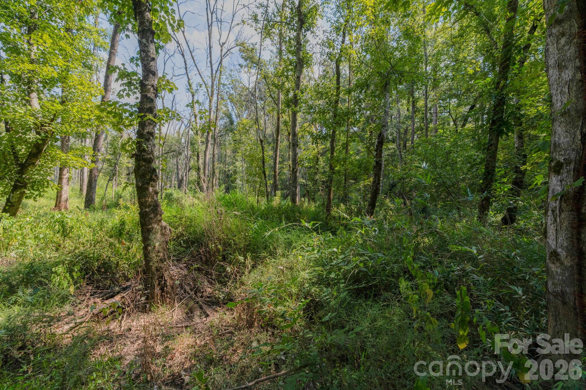 00 Stonehenge Court Property Photo 10