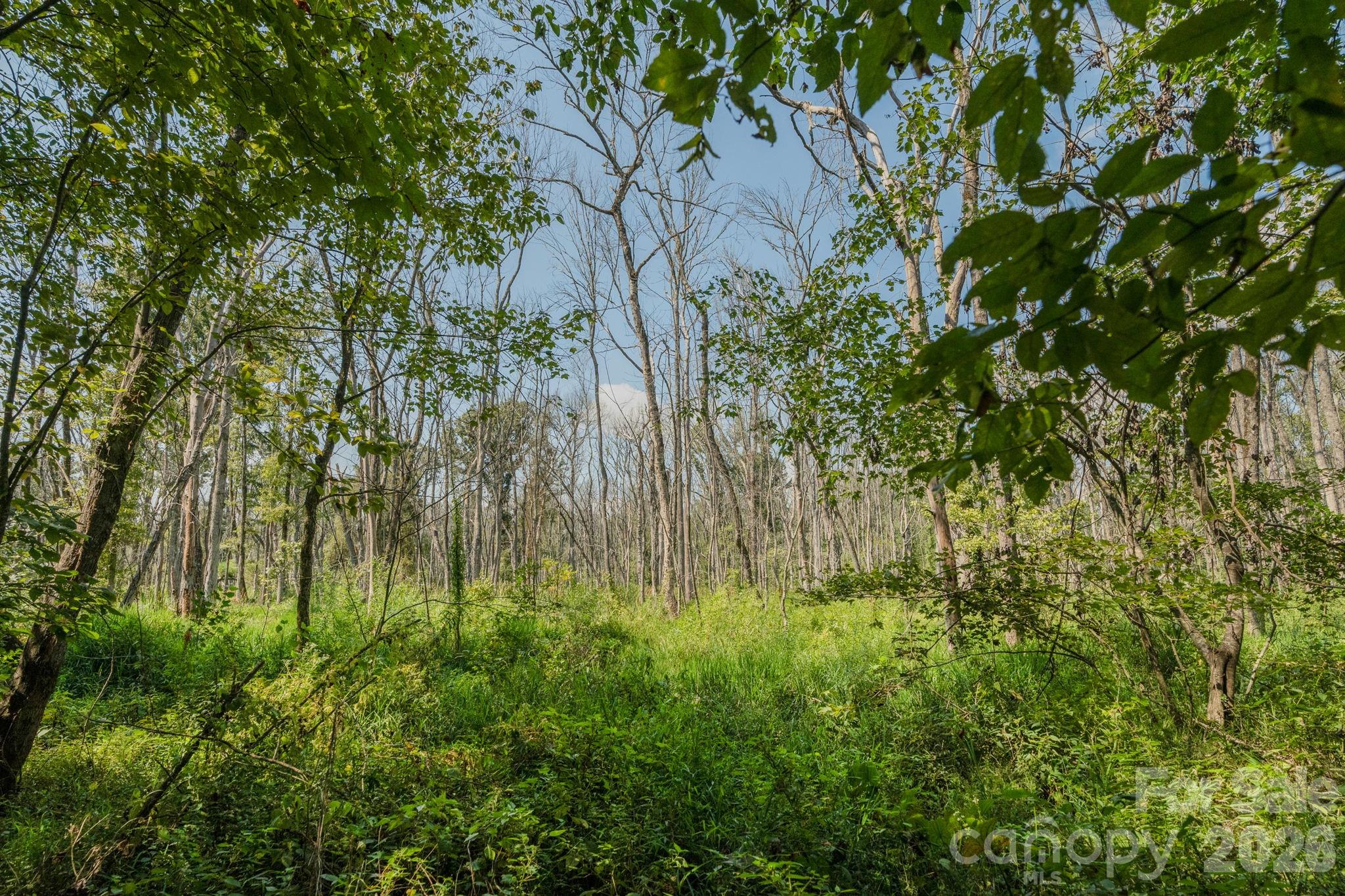 00 Stonehenge Court Property Photo 16