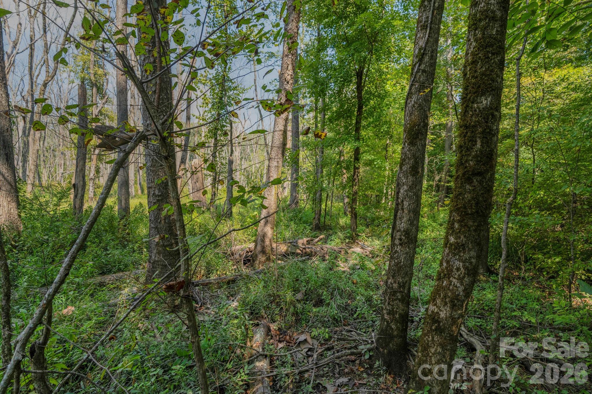 00 Stonehenge Court Property Photo 18