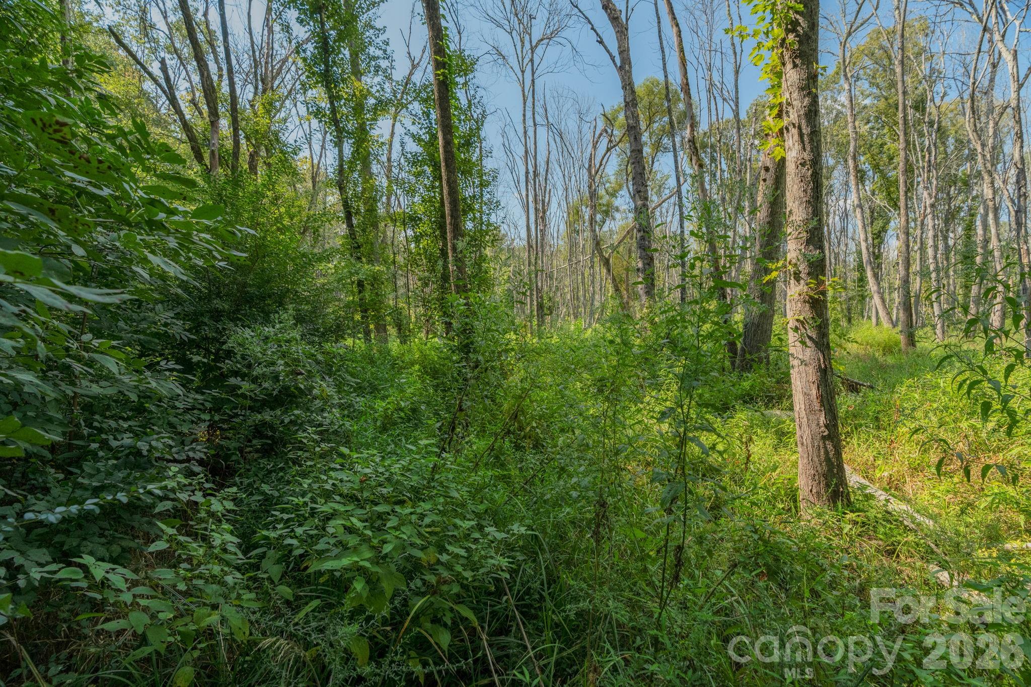 00 Stonehenge Court Property Photo 23