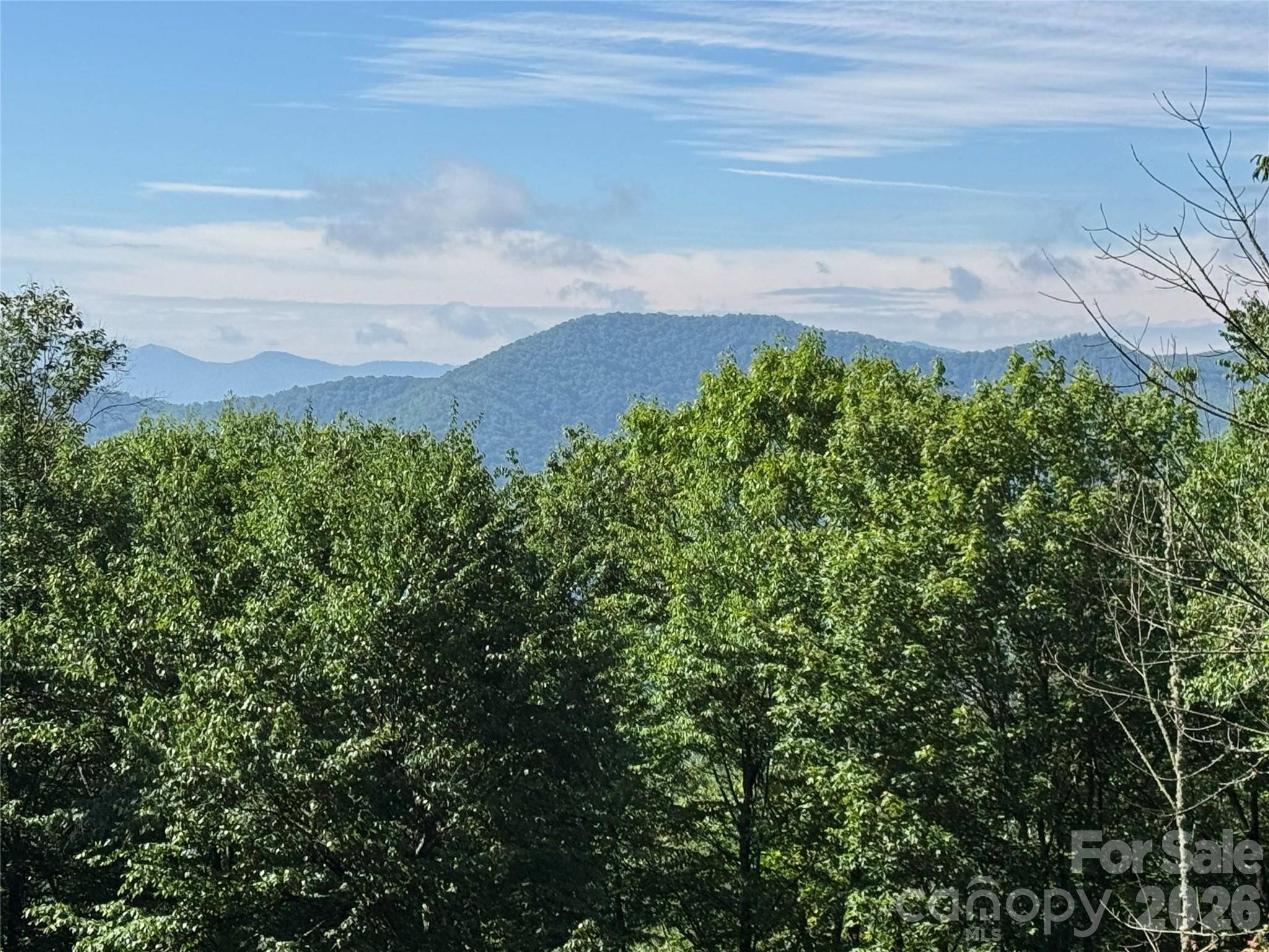 2085 Laurel Ridge Property Photo 5