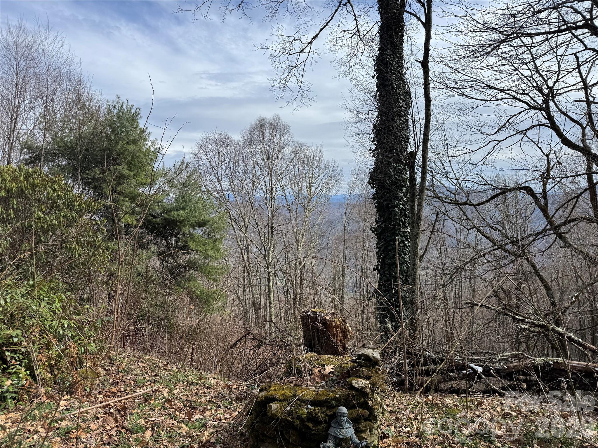 2085 Laurel Ridge Property Photo 6
