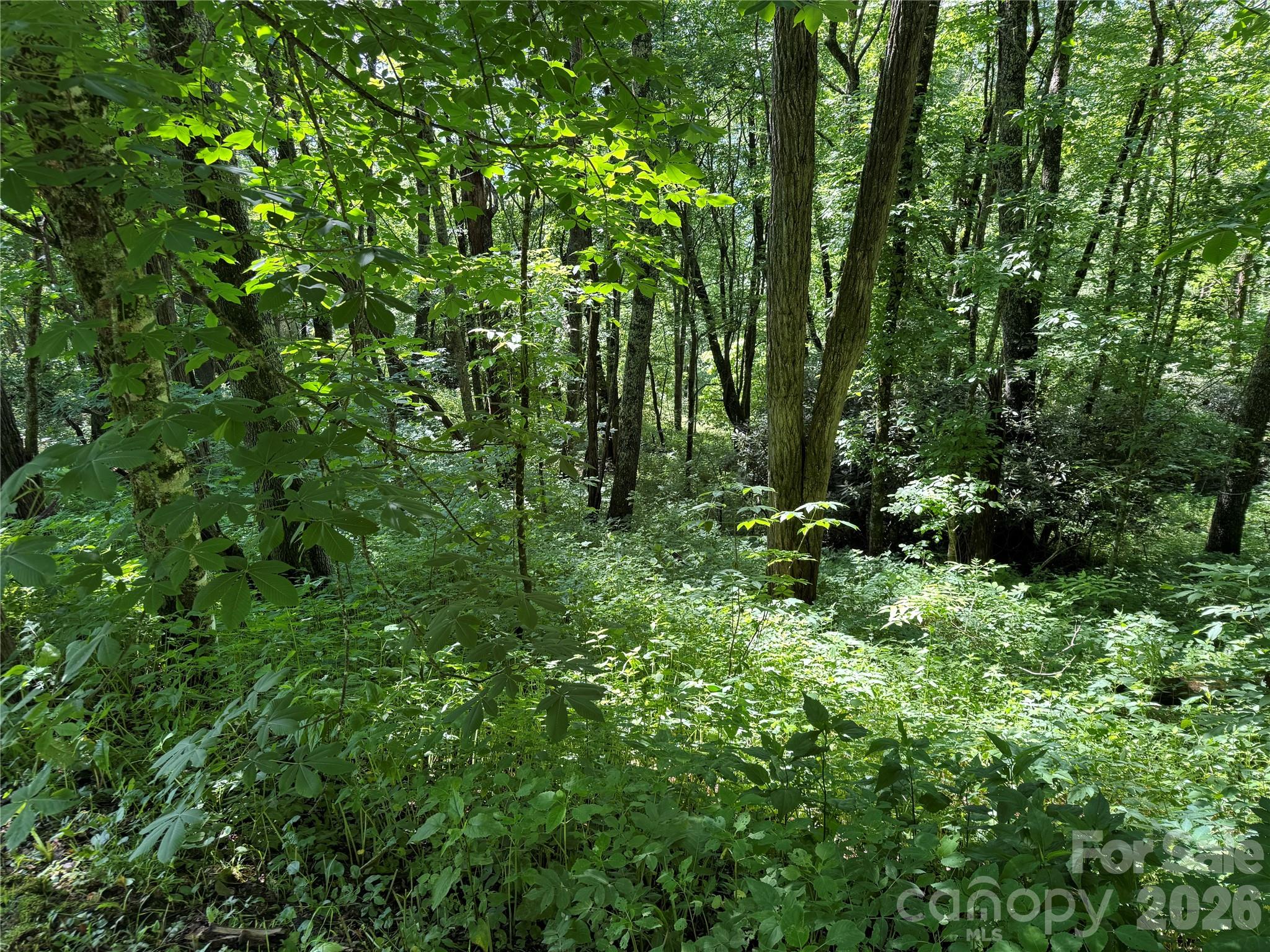 2085 Laurel Ridge Property Photo 34
