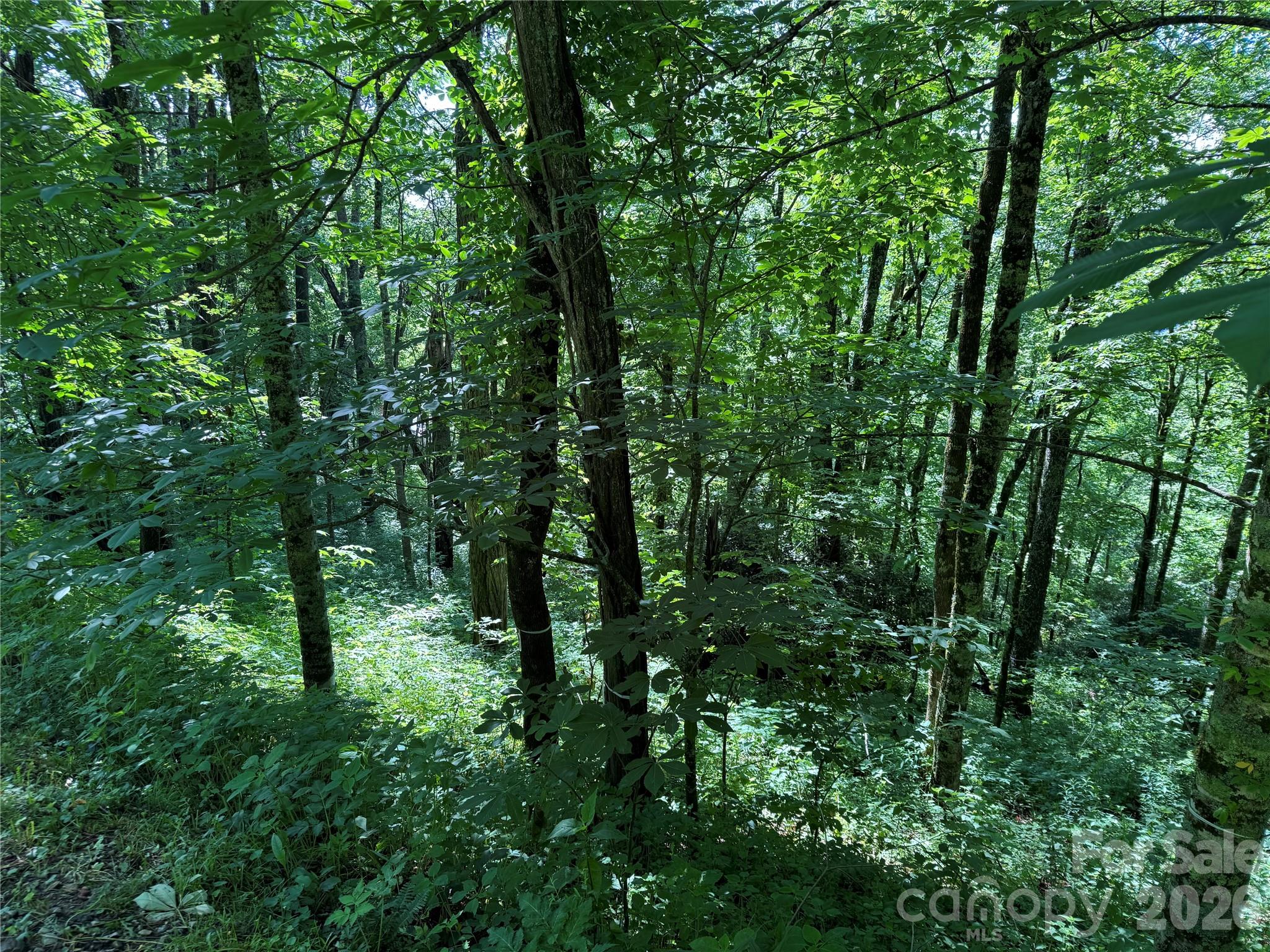 2085 Laurel Ridge Property Photo 35