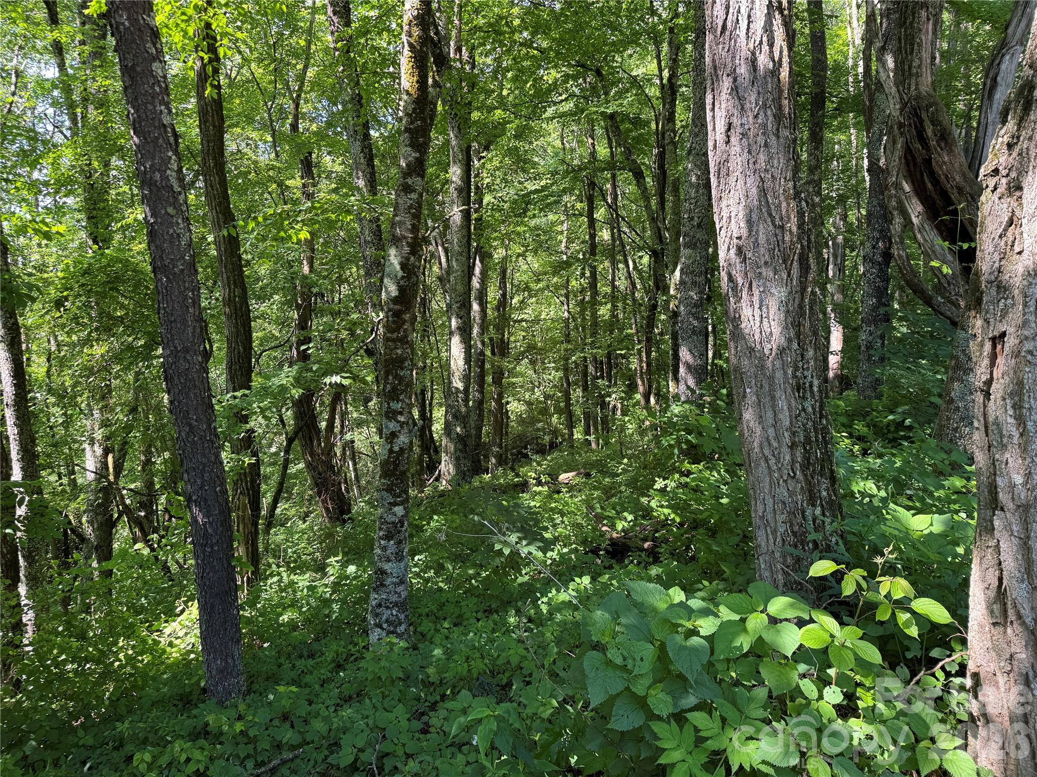 2085 Laurel Ridge Property Photo 36