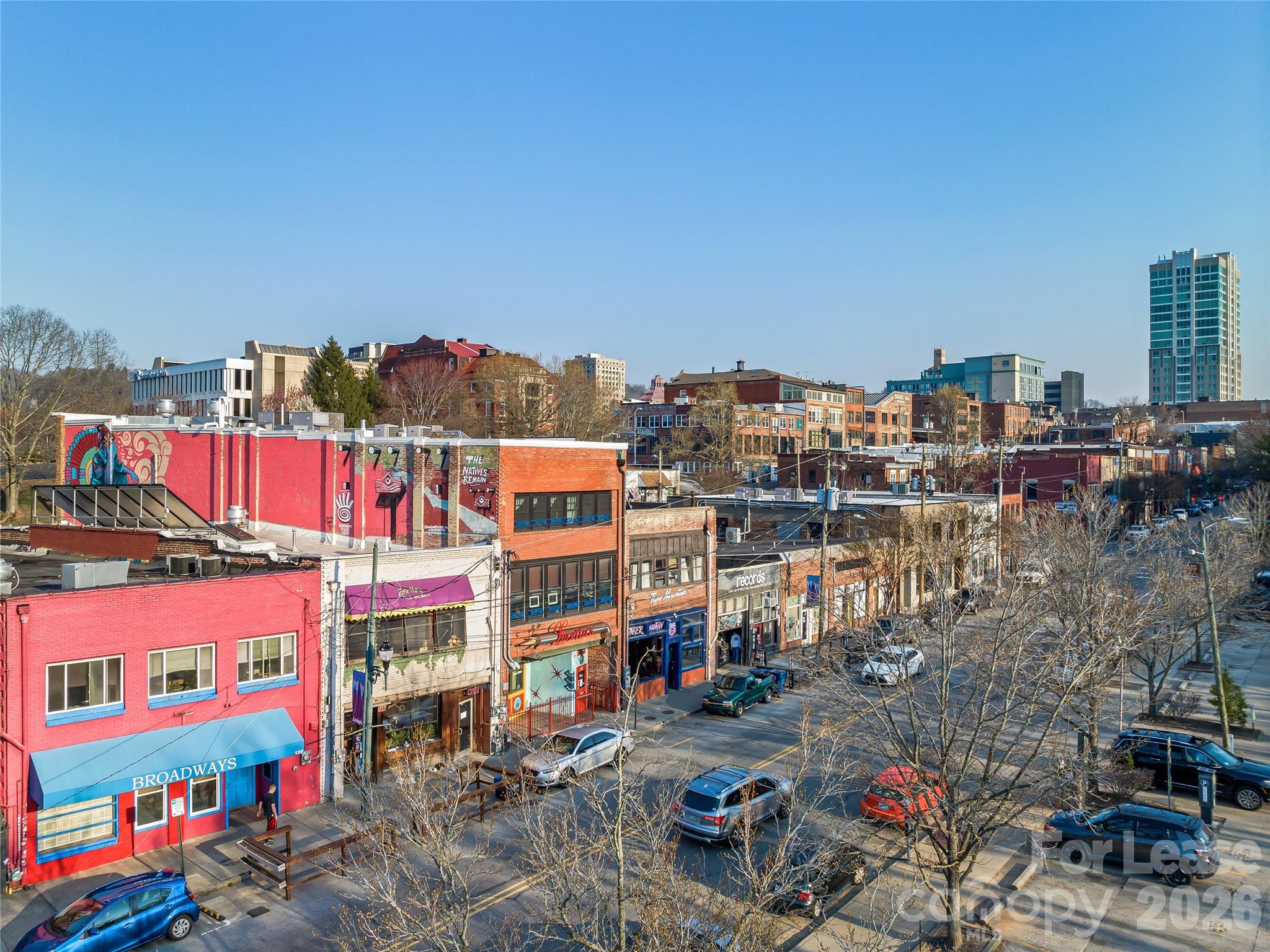 114 N Lexington Avenue Property Photo 3