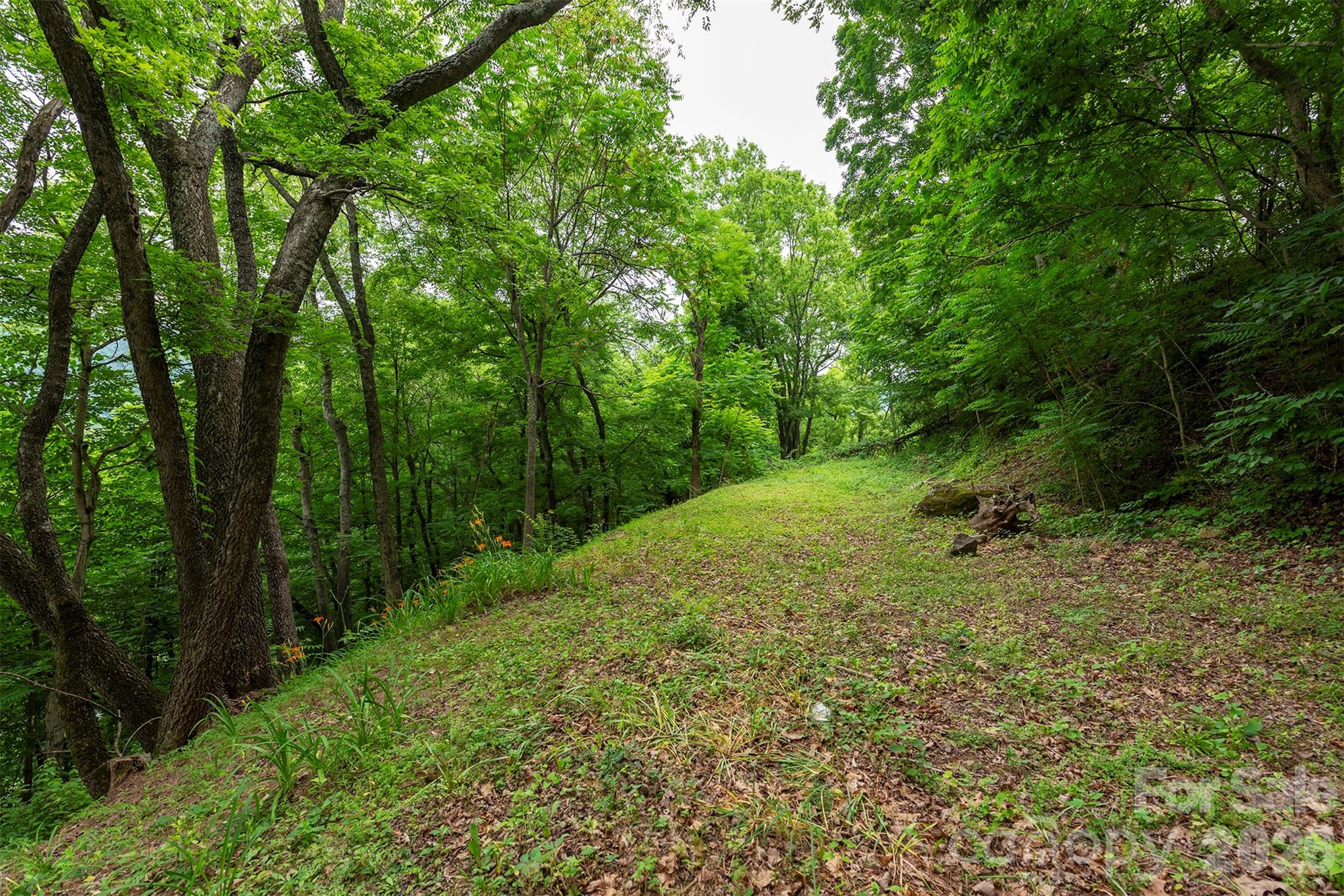 588 Us 25/70 Highway Property Photo 5
