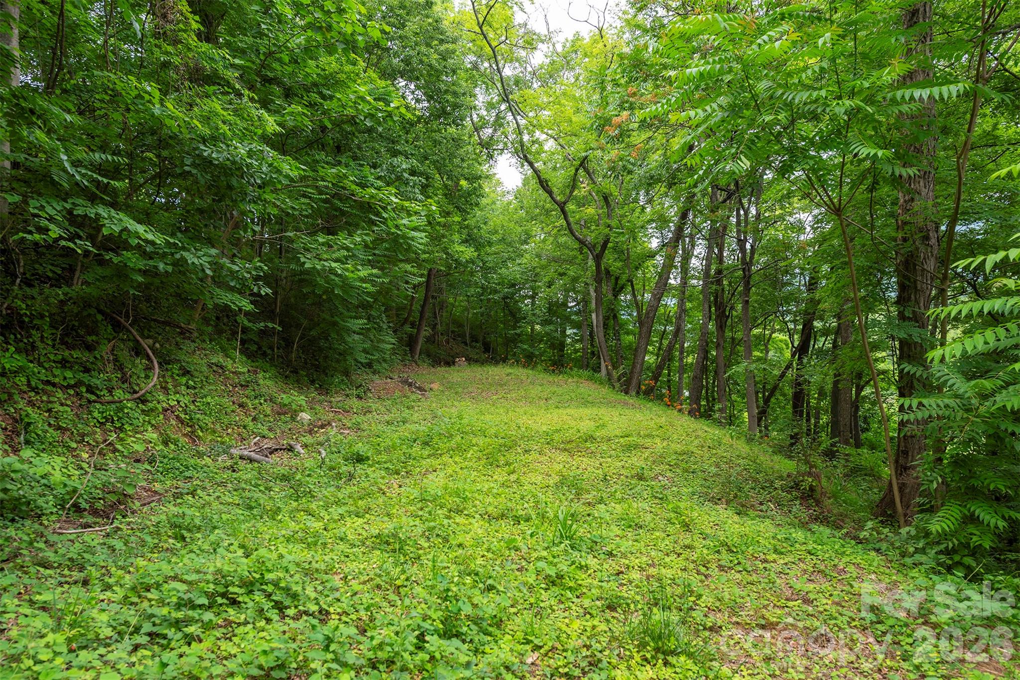 588 Us 25/70 Highway Property Photo 13