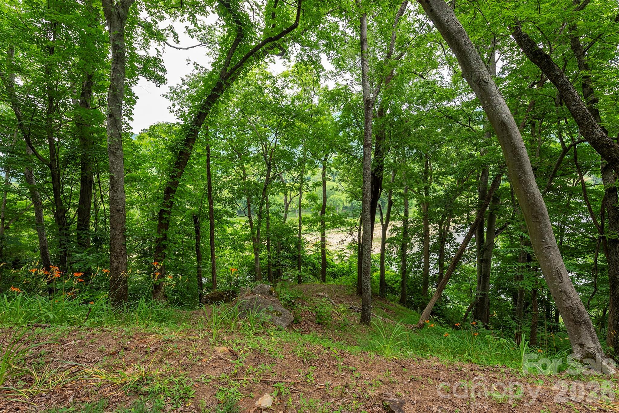 588 Us 25/70 Highway Property Photo 14