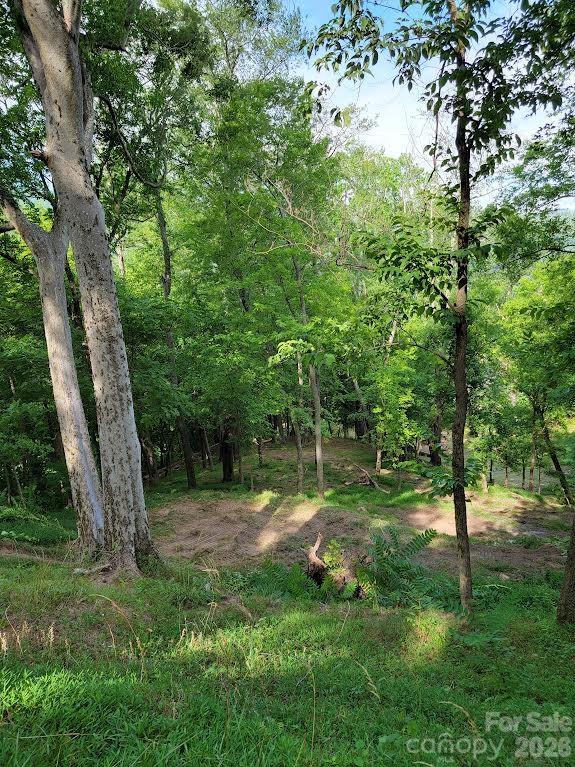 588 Us 25/70 Highway Property Photo 15