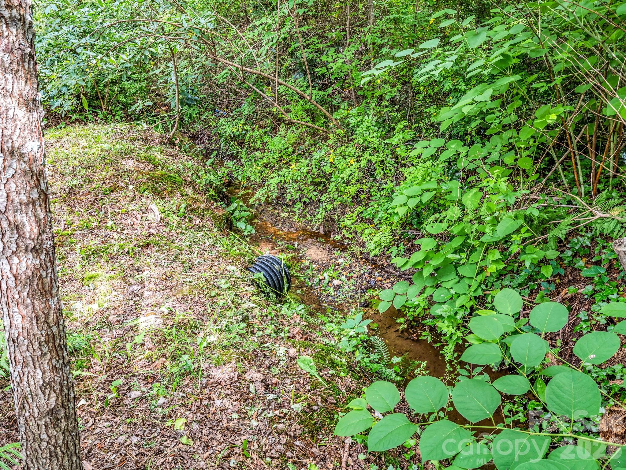 701 Azalea Avenue Property Photo 42