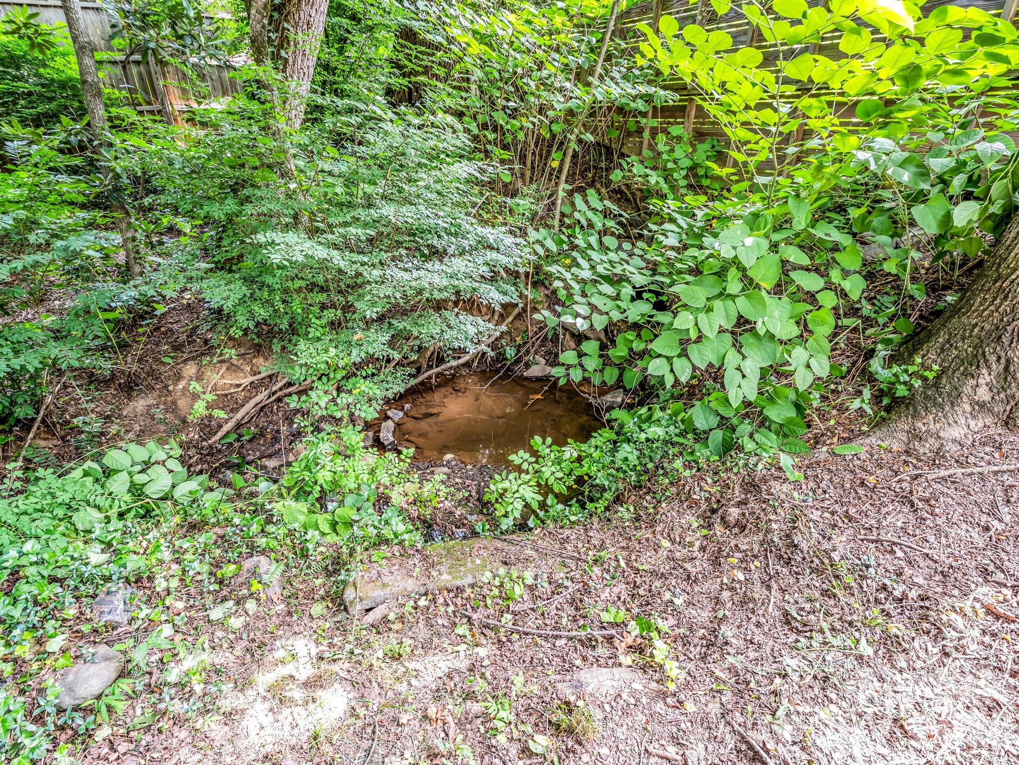 701 Azalea Avenue Property Photo 43