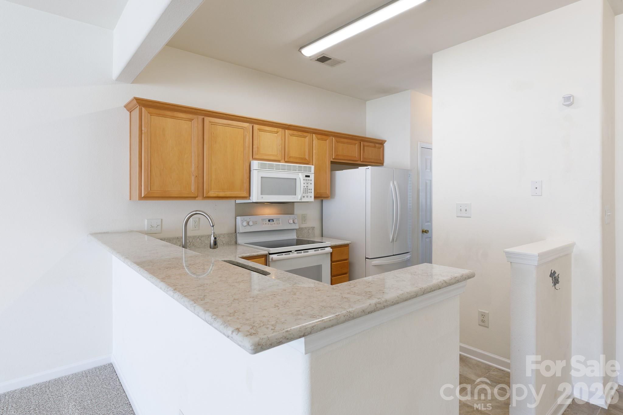 11625 Lioness Street Property Photo 6