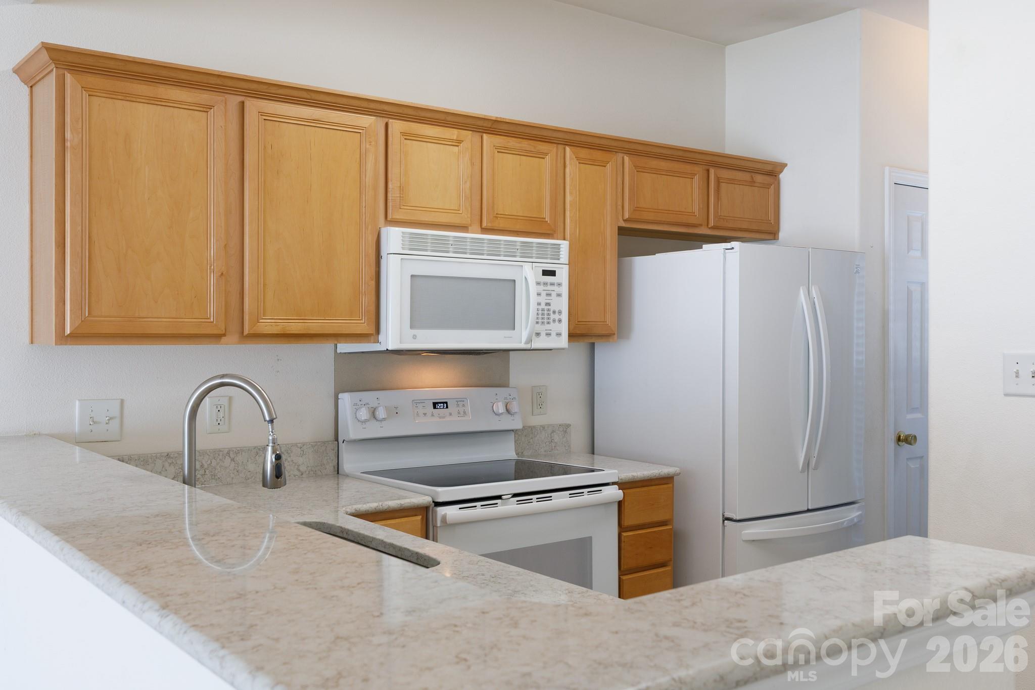 11625 Lioness Street Property Photo 7