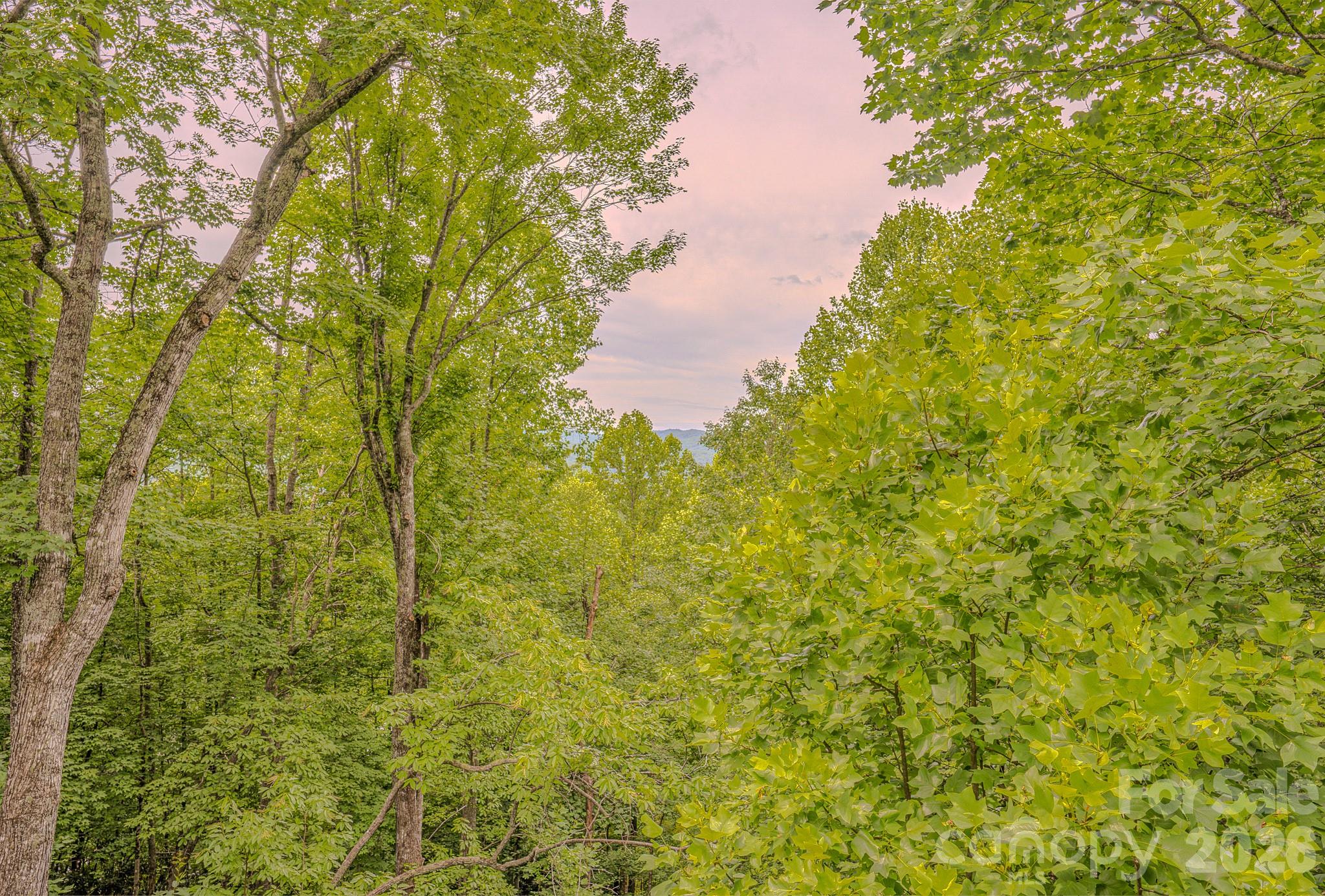 329 Mountain Crest Drive Property Photo 15