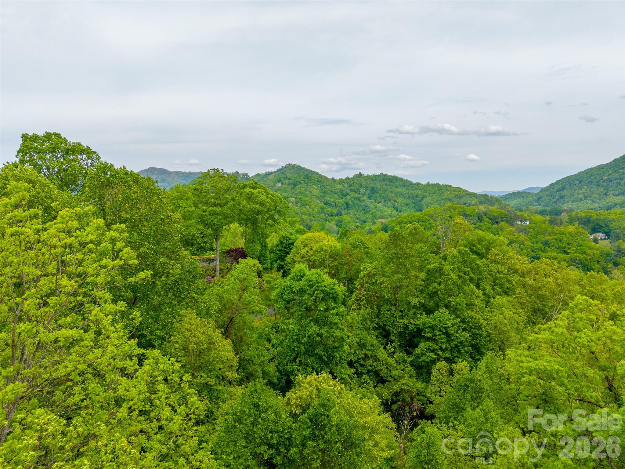 Lot 104 Campbell Mountain Drive Property Photo 1