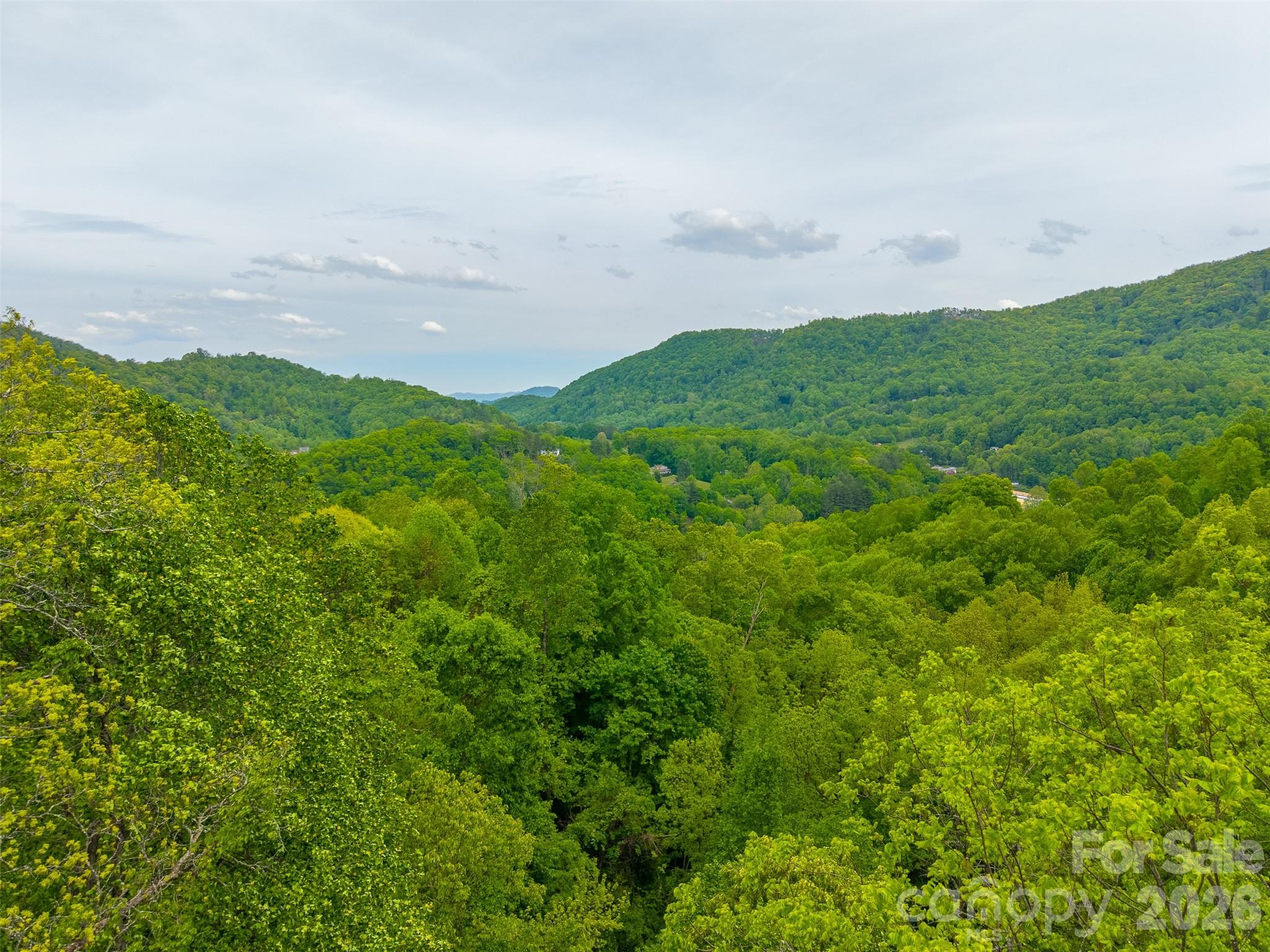 Lot 104 Campbell Mountain Drive Property Photo 3