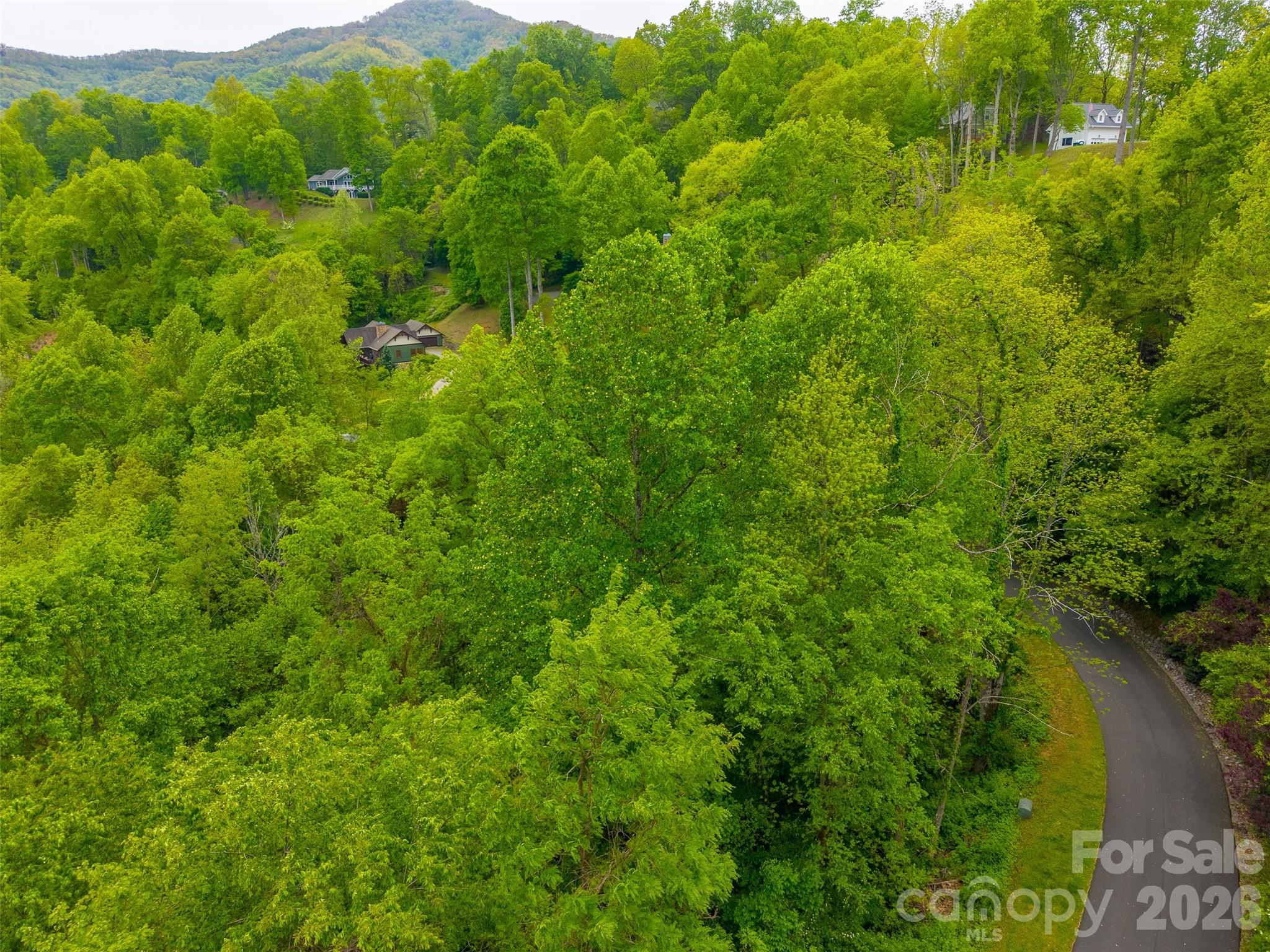 Lot 104 Campbell Mountain Drive Property Photo 4