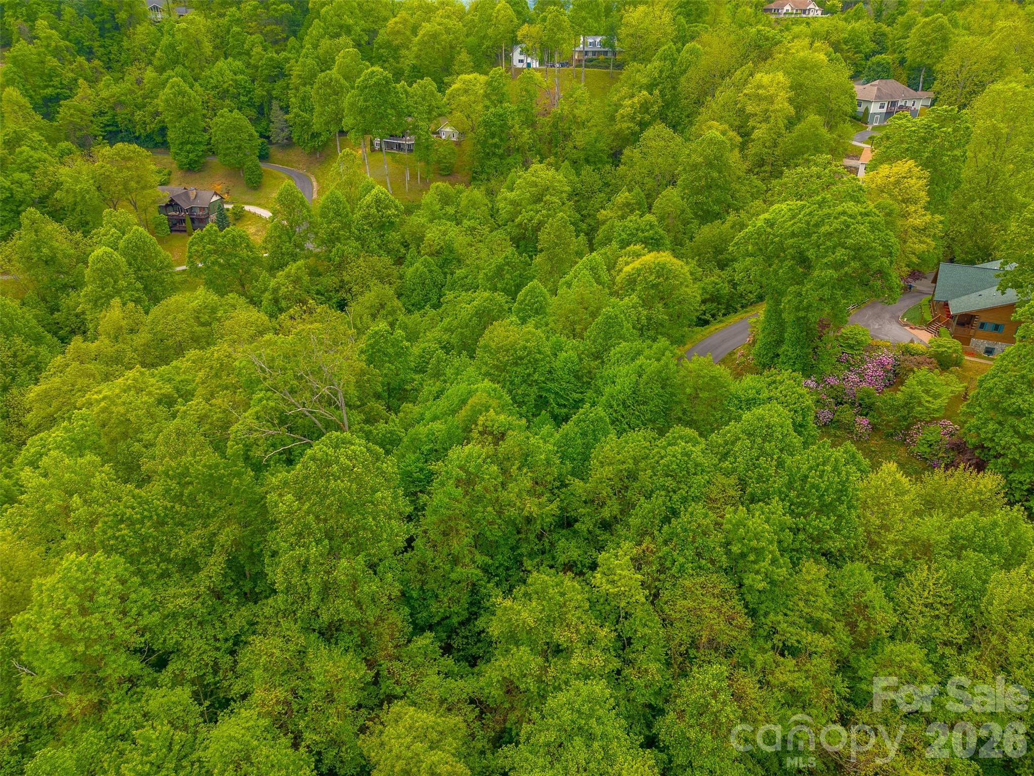 Lot 104 Campbell Mountain Drive Property Photo 6