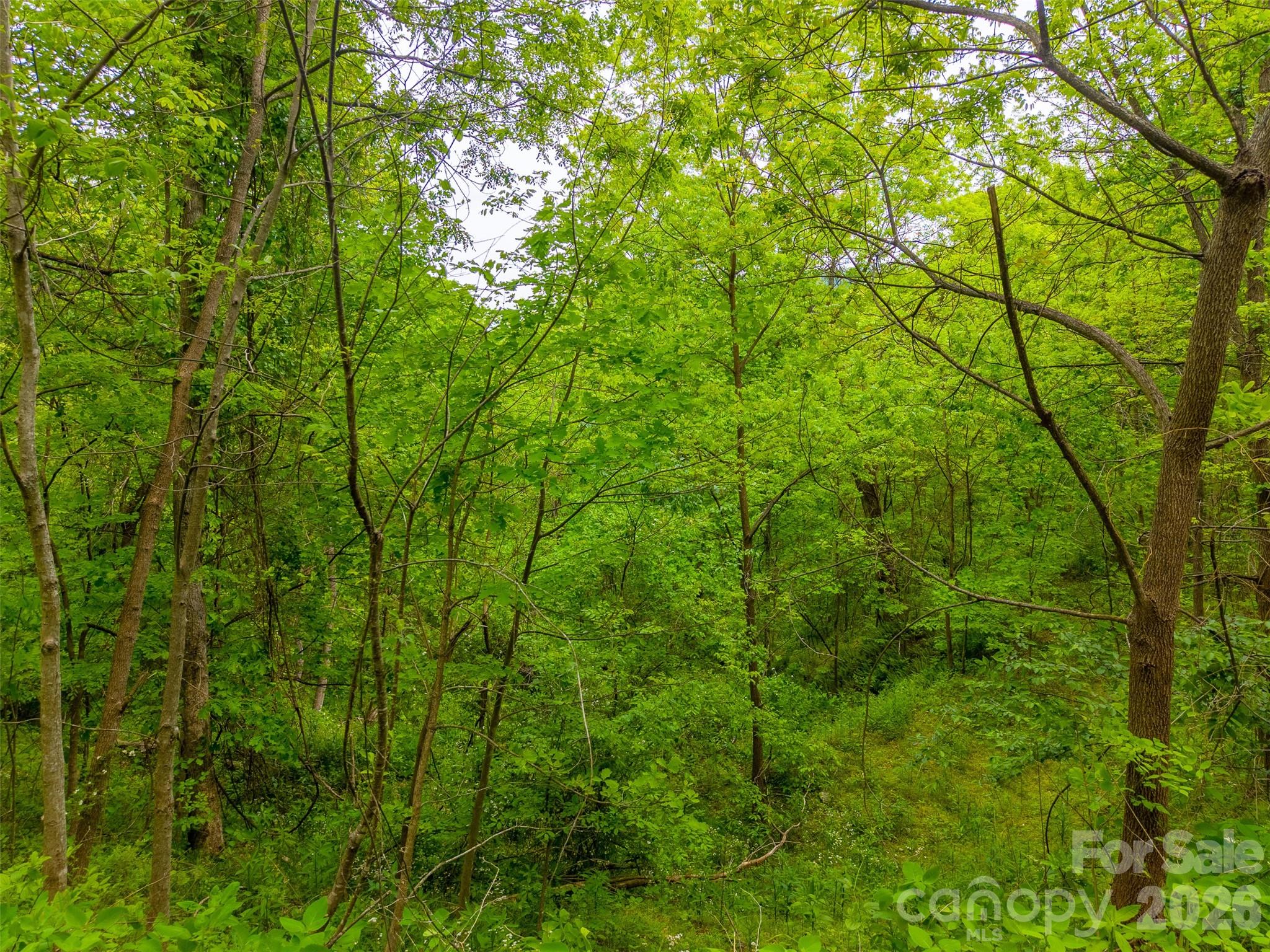 Lot 104 Campbell Mountain Drive Property Photo 9