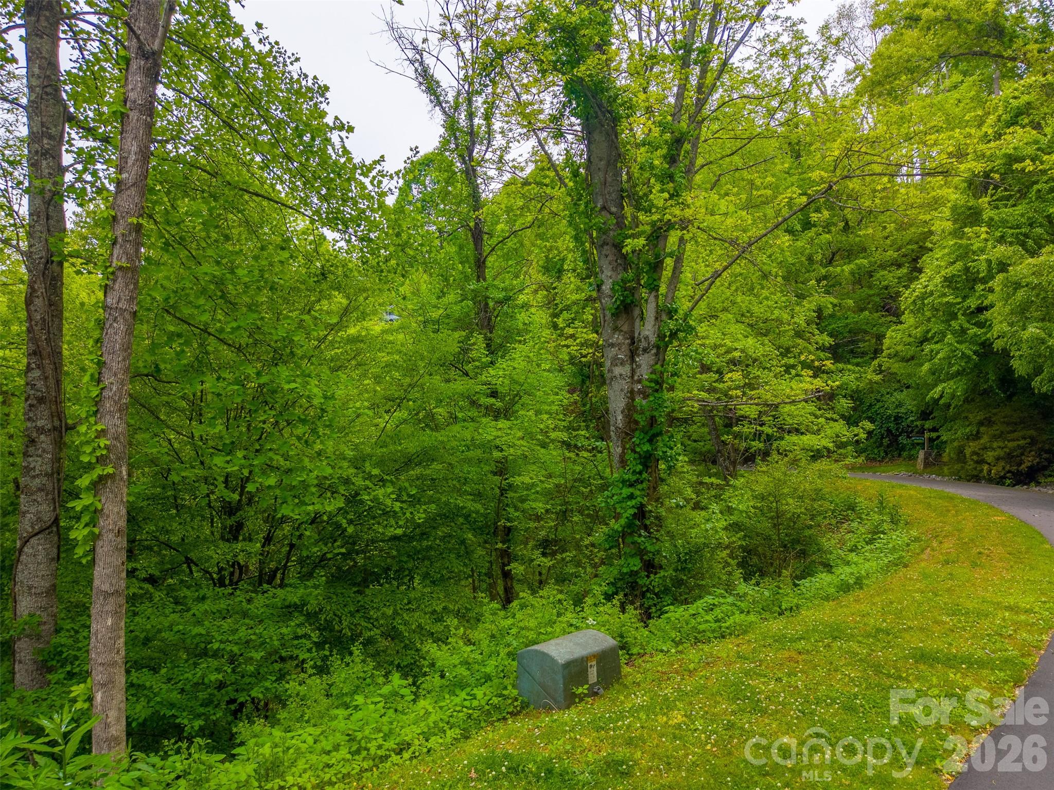 Lot 104 Campbell Mountain Drive Property Photo 10