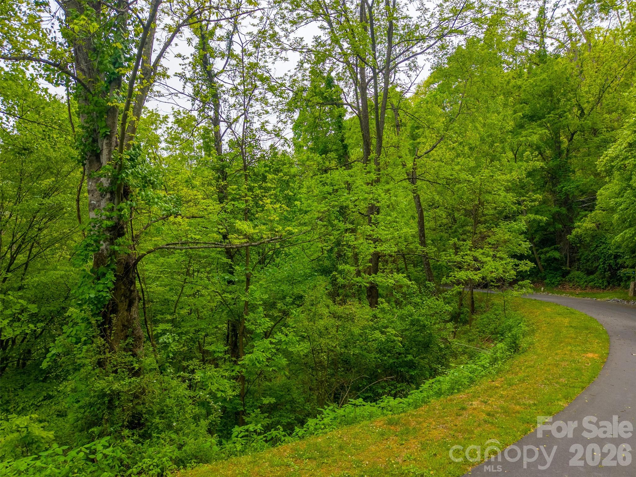 Lot 104 Campbell Mountain Drive Property Photo 11