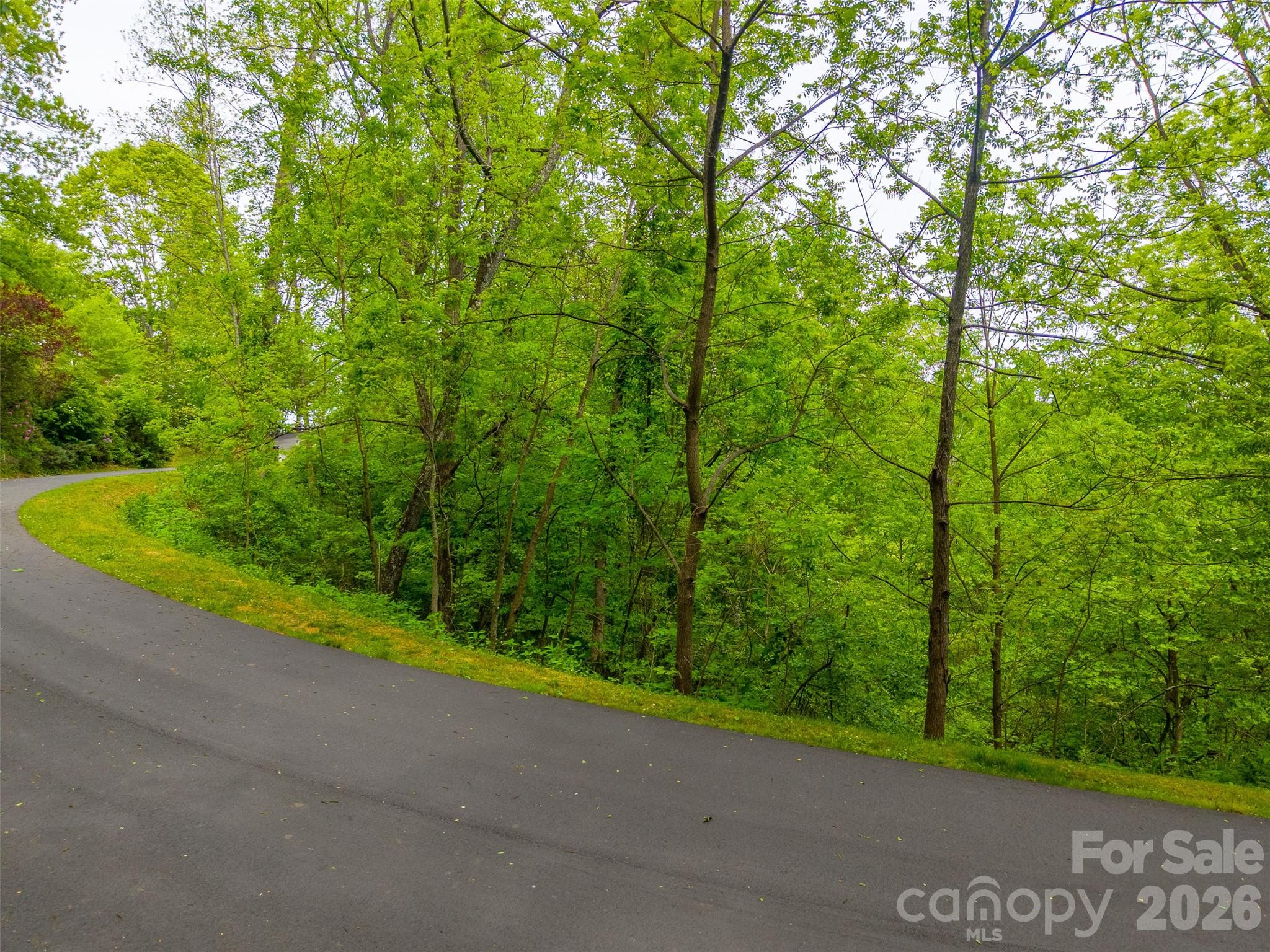 Lot 104 Campbell Mountain Drive Property Photo 12