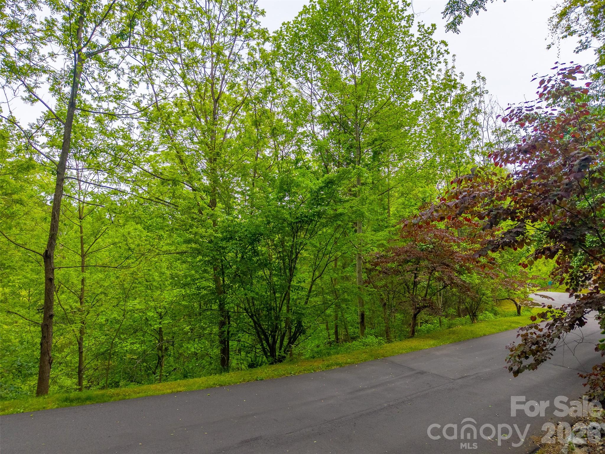 Lot 104 Campbell Mountain Drive Property Photo 13